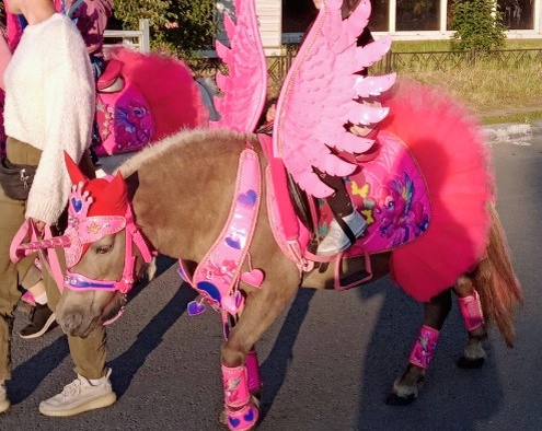 "Вот... Иду... А так хочется полететь!" Фото автора.