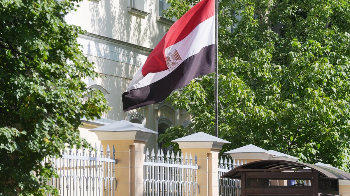    Фото: ИЗВЕСТИЯ/Андрей Эрштрем