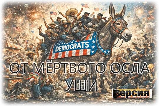    Демократы могут остаться без поддержки нелегалов (фото: Deep Vision)