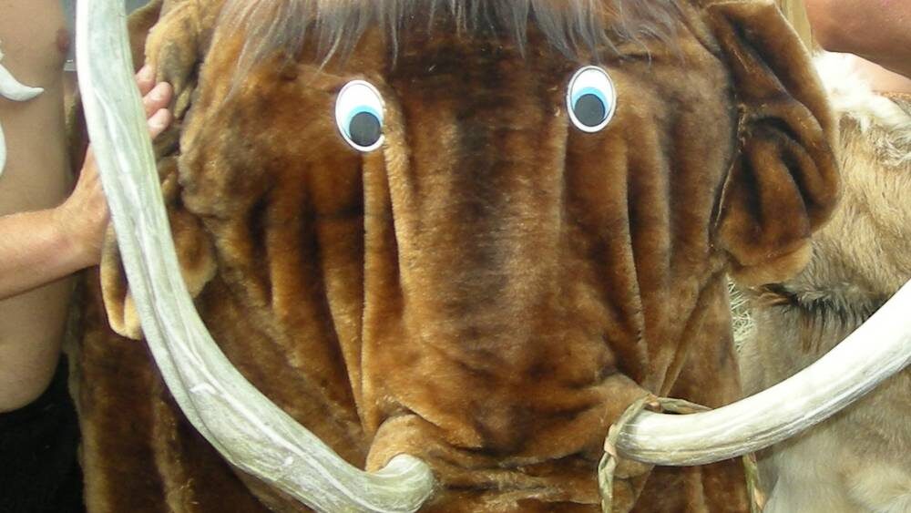    Фото: «Брянские новости»