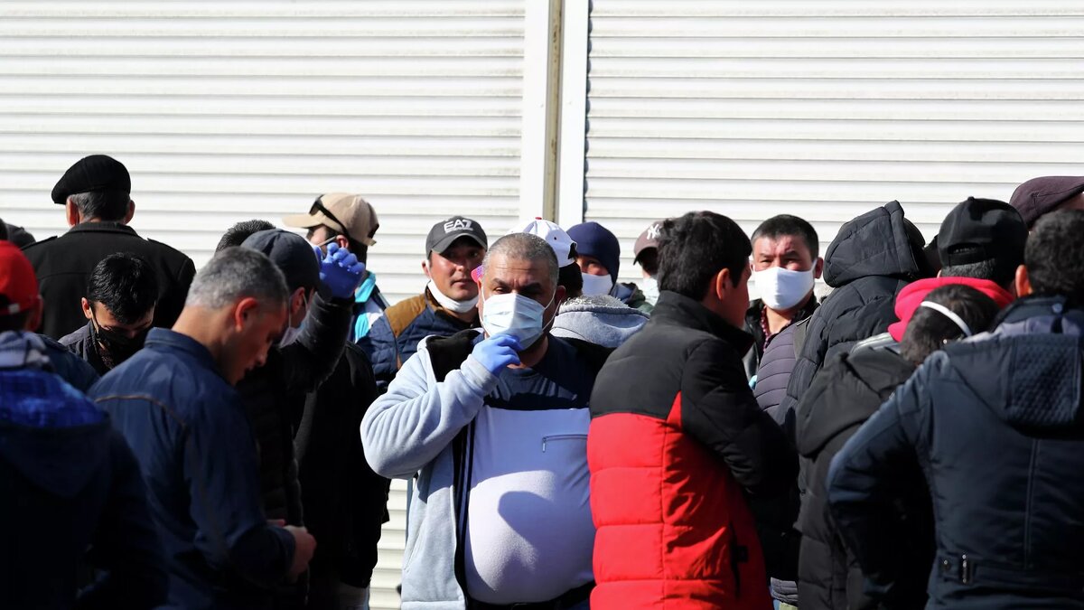 © Sputnik / Михаил Голенков