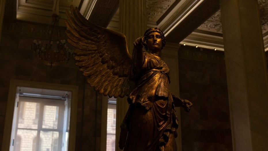    Автор фото: Soina Anastasia/Shutterstock/FOTODOM