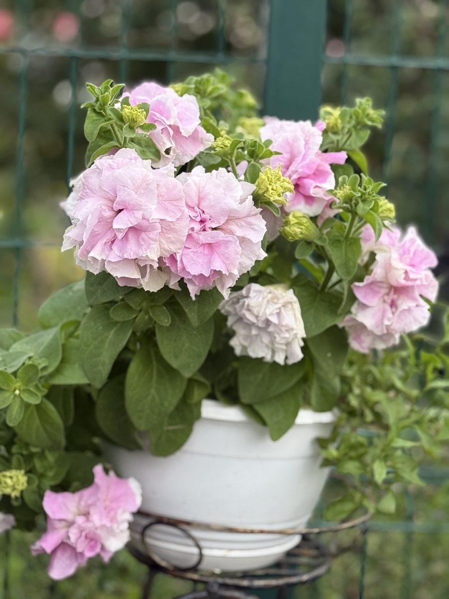 Фото для настроения