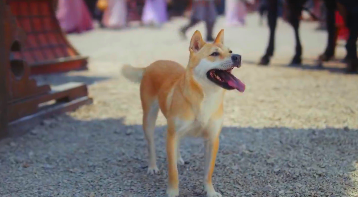 «Лотосовый терем» (Китай, 2023) Лучший боец в цзянху