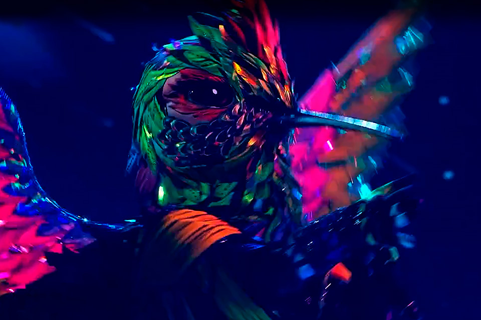    Жука выгнали с проектаКадр из видео