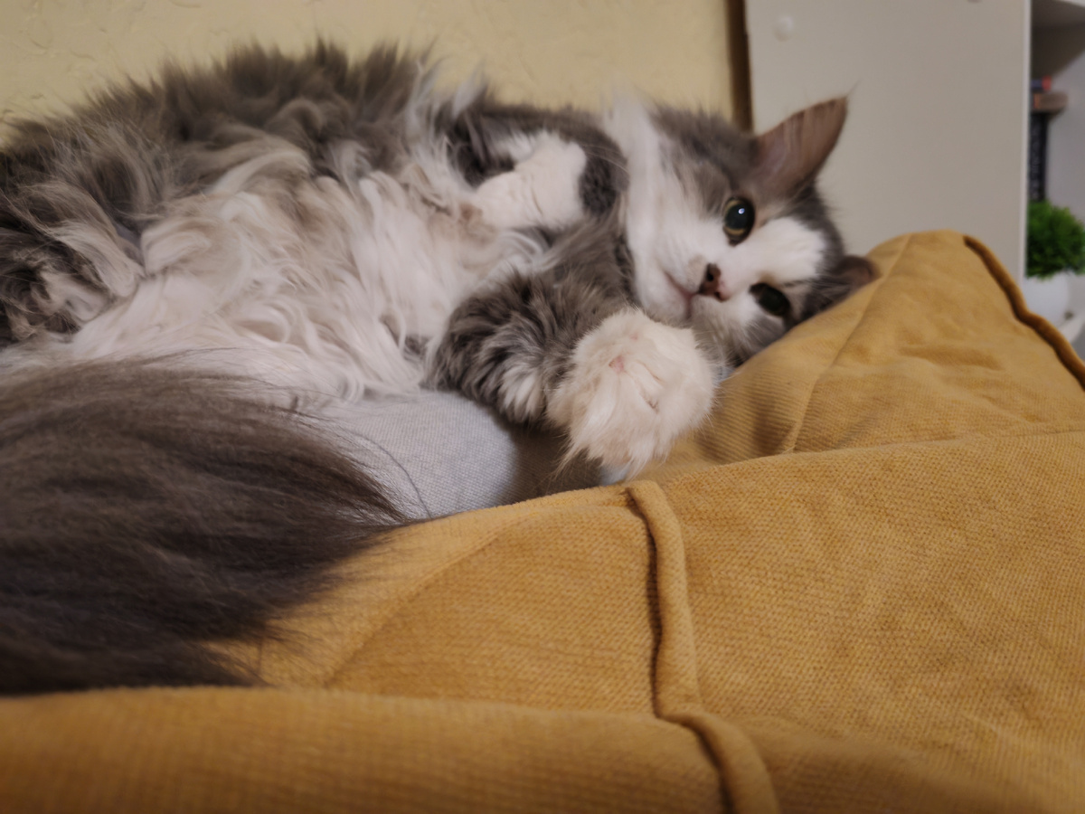 Будьте счастливы! 