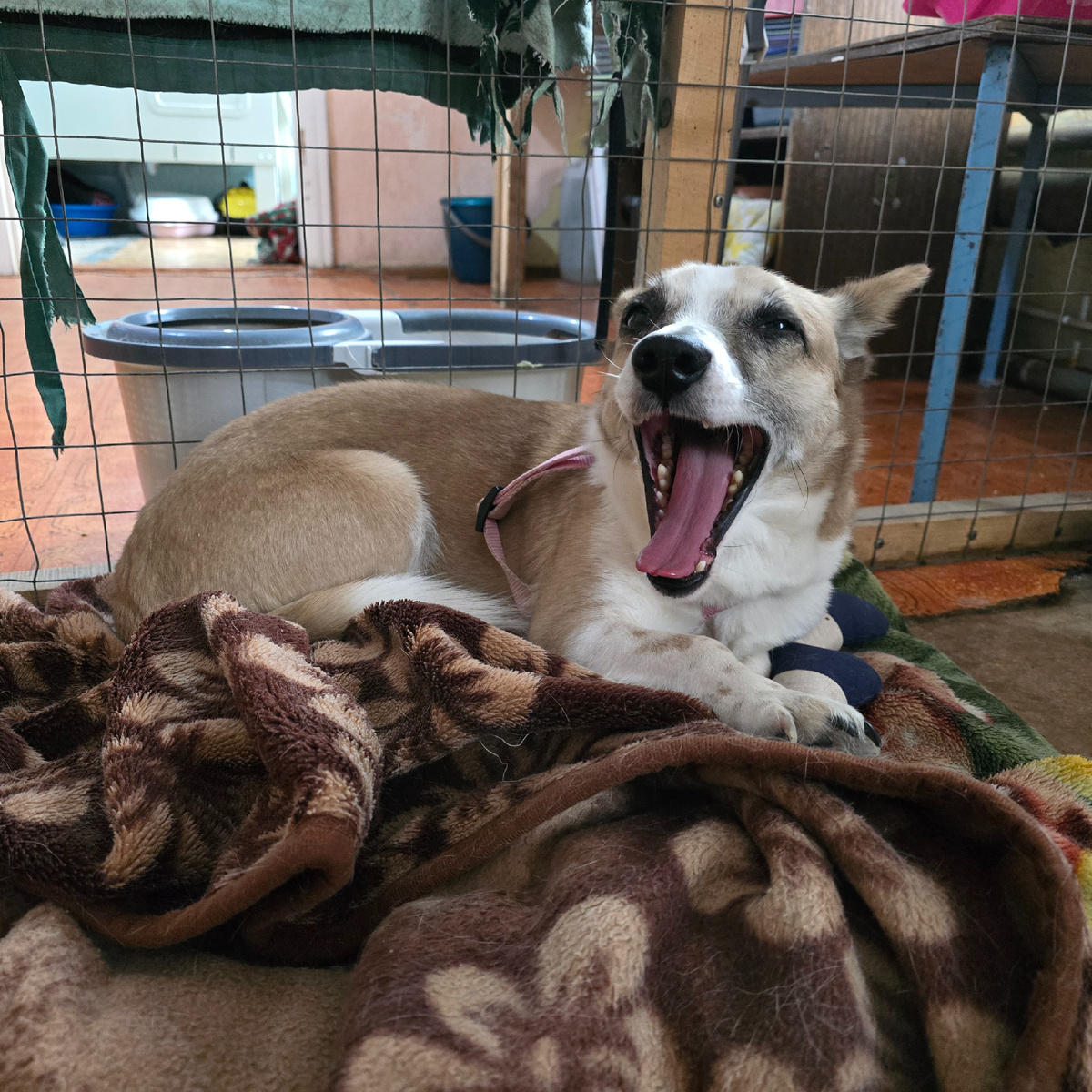 момент радости сквозь боль в душе