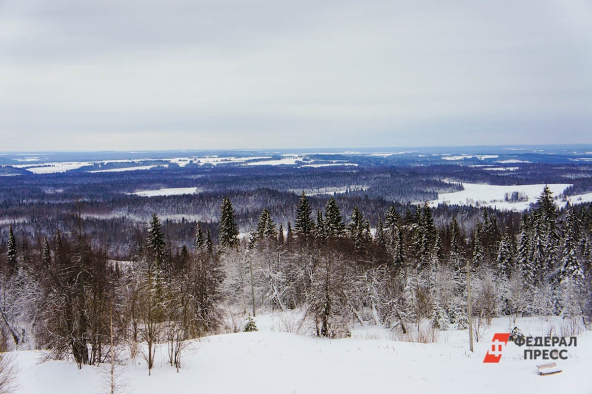Площадка расположена недалеко от места, где семью видели в последний раз.  Фото: Фото: ФедералПресс / Елена Майорова