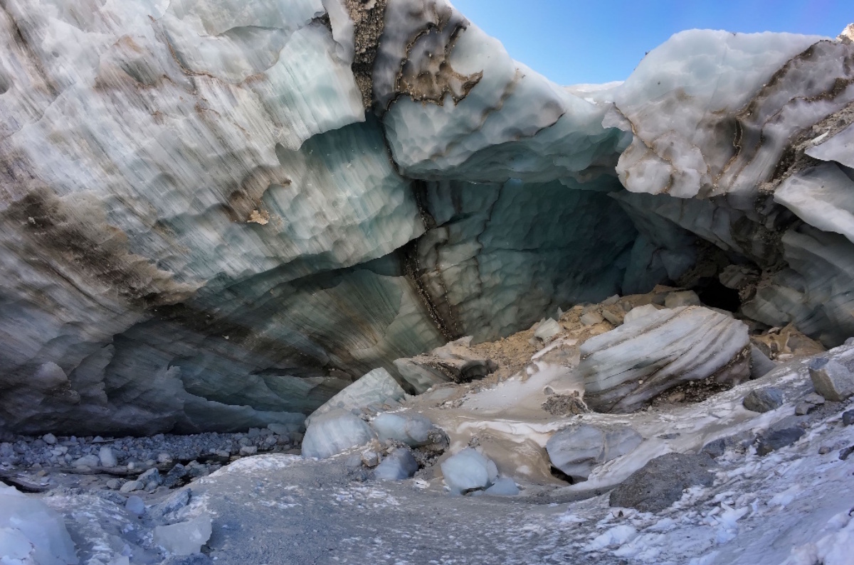 «Шхельда» переводится как «ягодка». Возраст ледника по меньшей мере 1600 лет. Автор фото: Наталья Прокофьева.