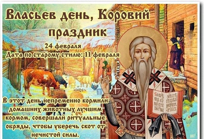 фото с яндекс картинок