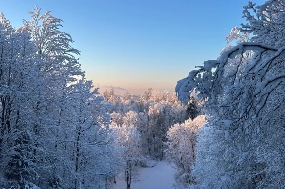    Прогноз на 23 февраля: нижегородцев ждут солнце и небольшие заморозки