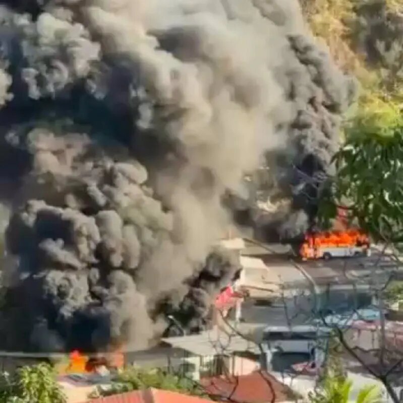    Фото: скриншот видео из соцсетей