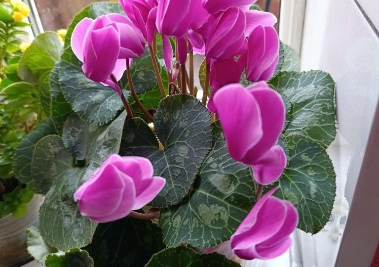 Любовь и ненависть