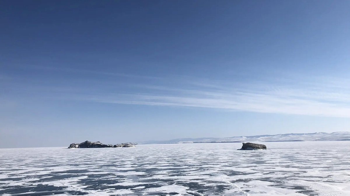   Фото: Вероника Новокрещеннова