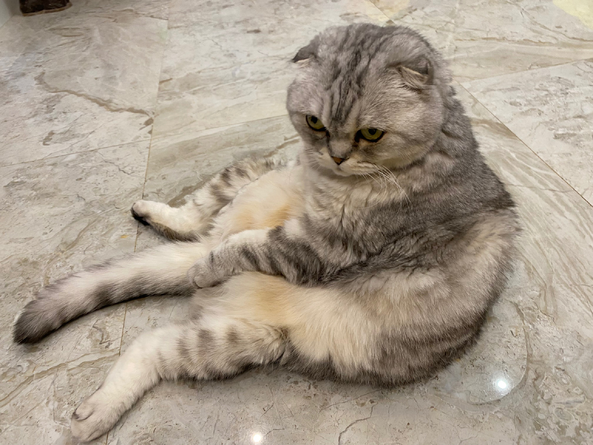 Из личного архива 