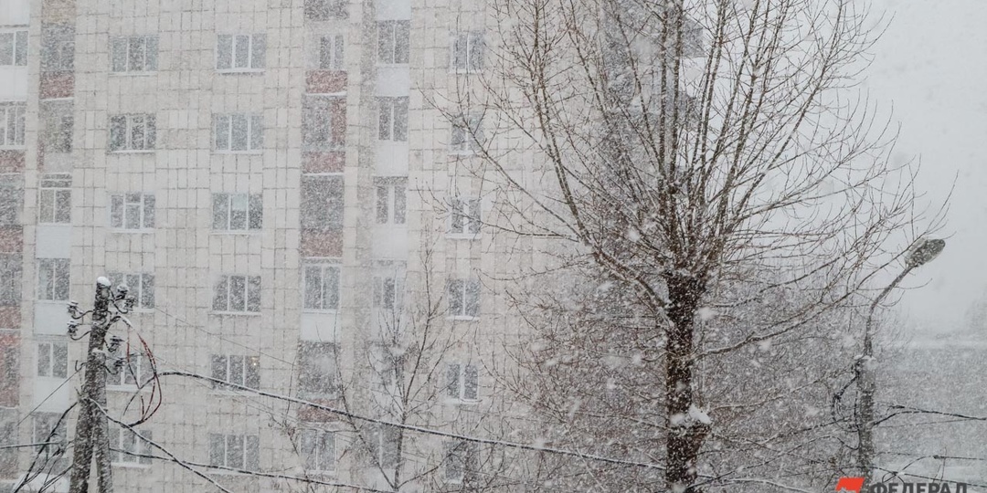 Мэр Хабаровска доложил об обстановке в городе во время снегопада и обратился к жителям с просьбой