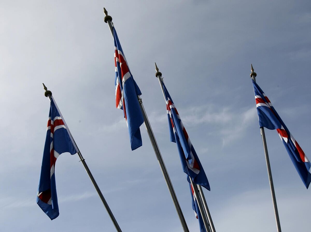    Флаги Исландии | © AP Photo / Brynjar Gauti