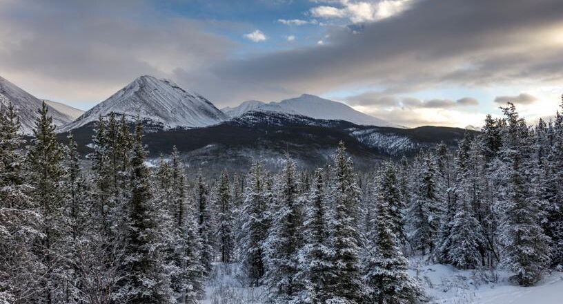    Ingram Publishing / Фотобанк Лори