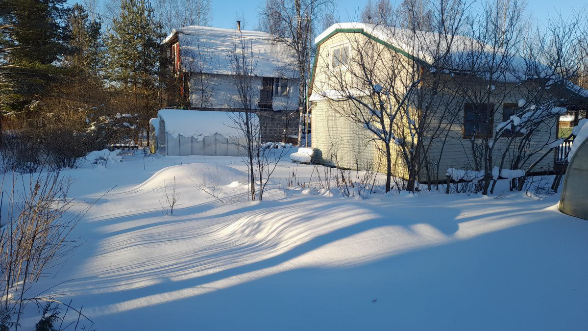 Наш дачный защитник прислал мне фото нашей дачи в ответ на поздравление!