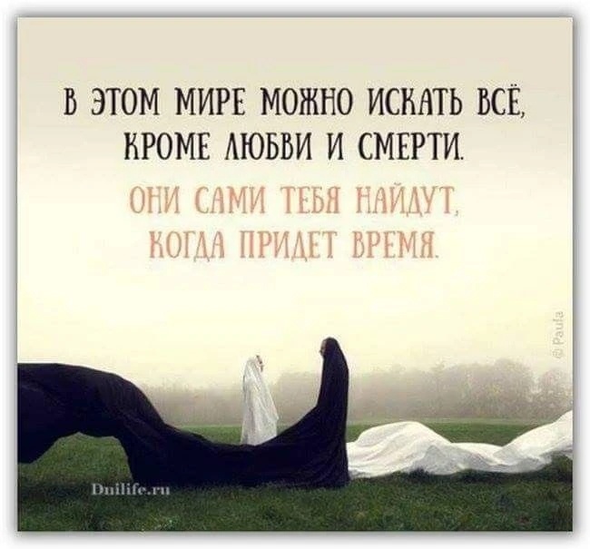 Фото из открытых источников интернета 