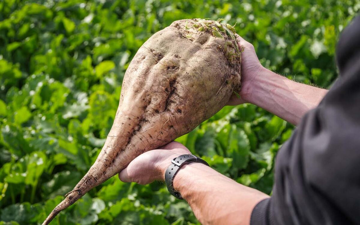    «Продимекс» проводит очередную традиционную программу для обучения персонала Фото – ГК «Продимекс»