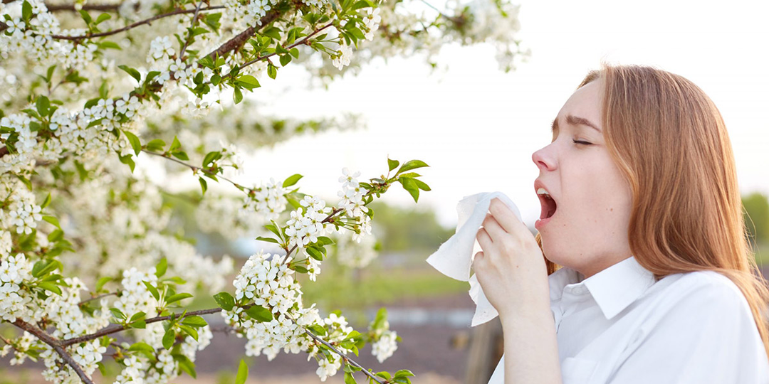 Спасаемся от поллиноза: 5 направлений для весеннего отпуска, где пыльца не испортит отдых