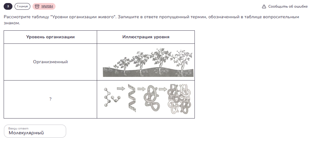 Пример задания первой линии. Изображение взято с сайта www.neofamily.ru 