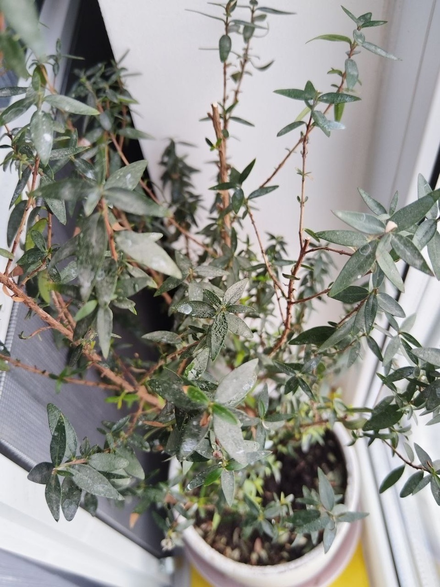 Лично фото №1