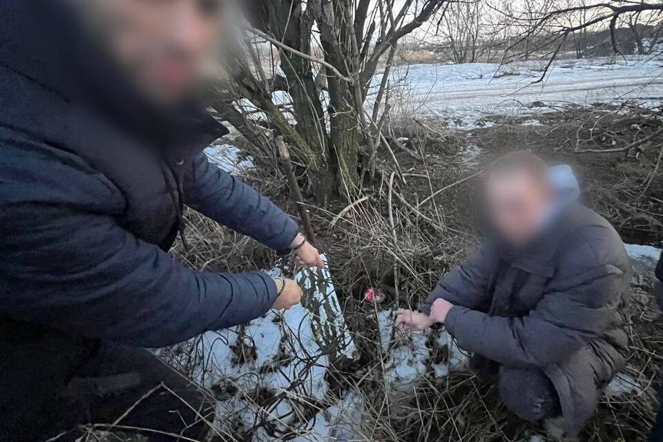    Фото: ГУ МВД России по Волгоградской области