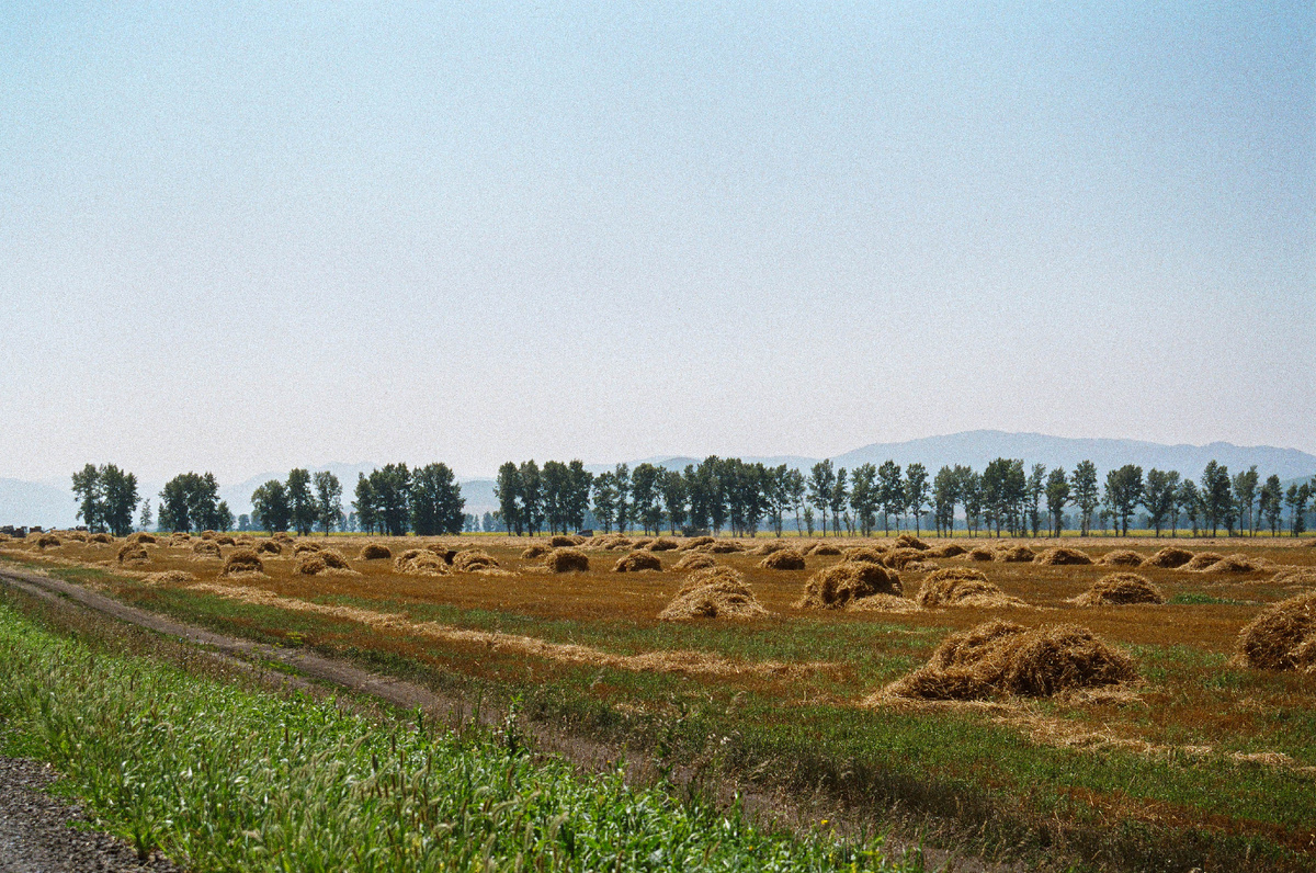 Впрочем, такой пейзаж всё ещё встречается повсеместно.