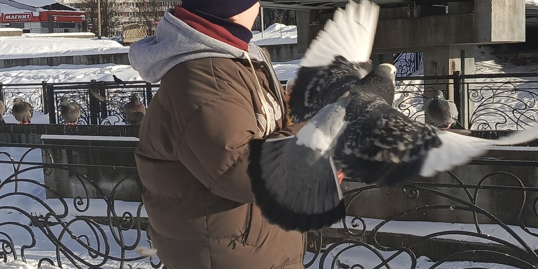 Ошибка на миллион (или два литра краски😉)