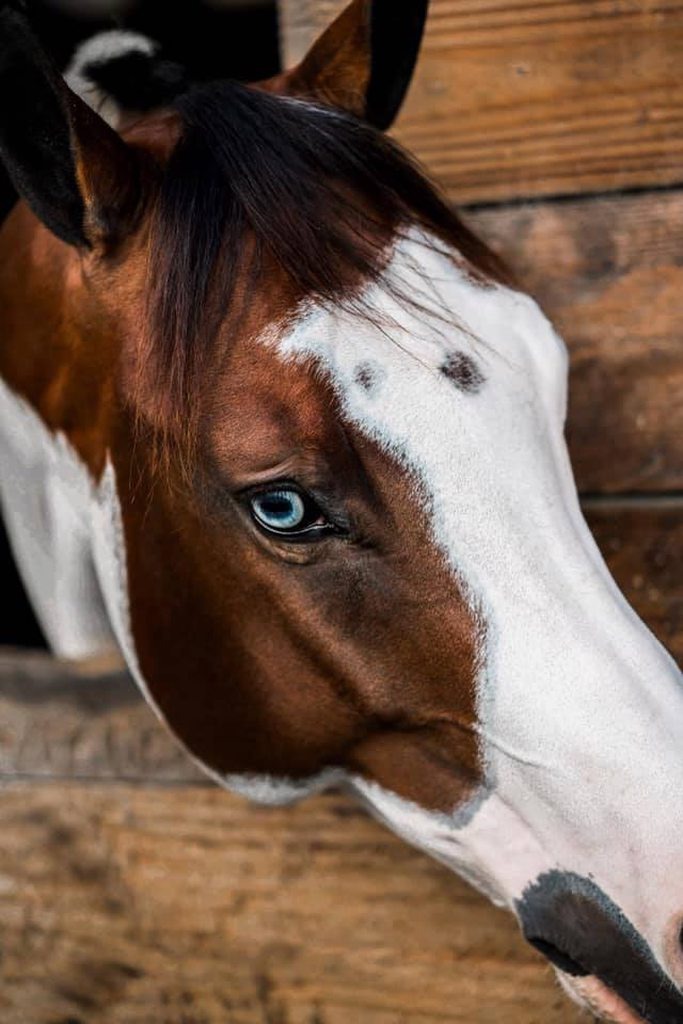 Фото взято из открытого источника.