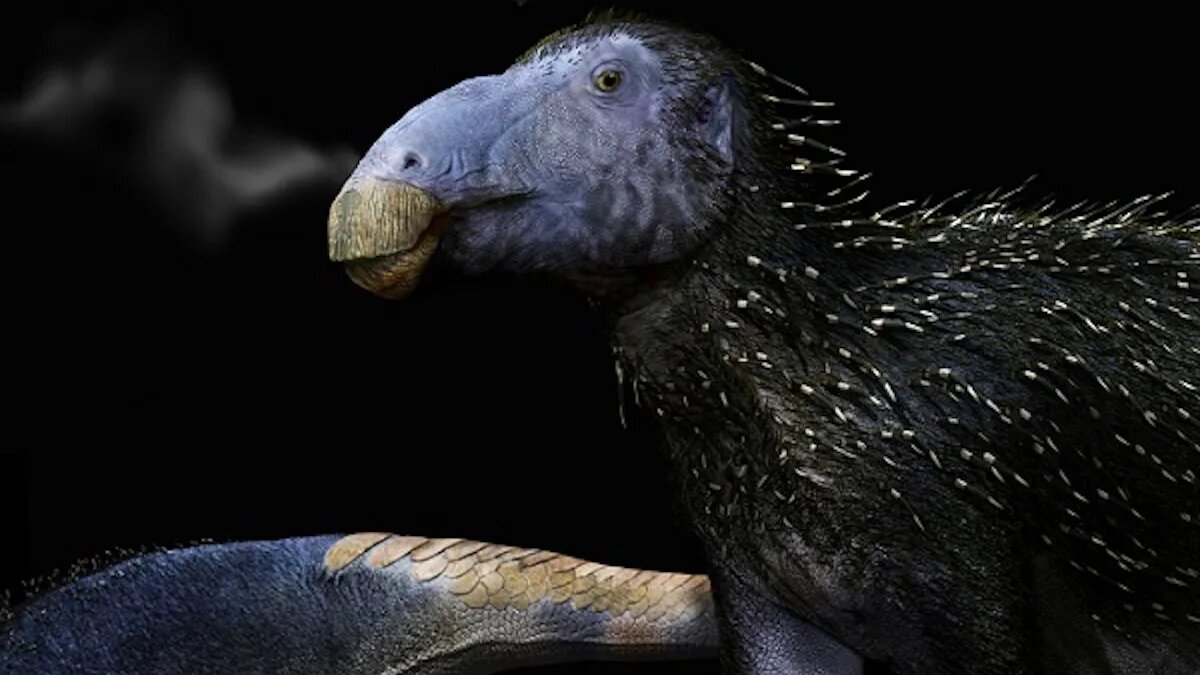 У этого странного колючего динозавра была кожа, непохожая ни на что, что мы когда-либо видели.