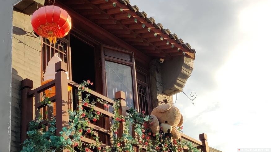     Китай   
Алексей Попов © ИА Красная Весна