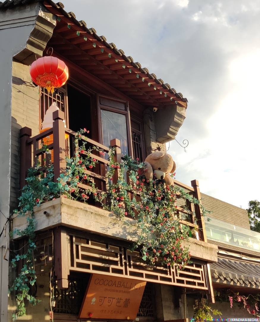     Китай   
Алексей Попов © ИА Красная Весна