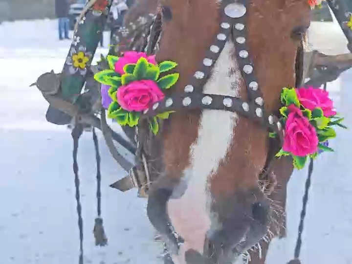 Русский Двор на Масленницу.