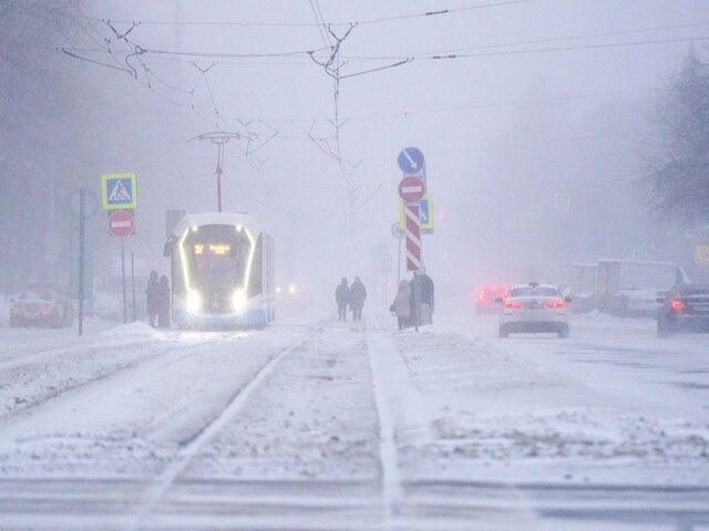    Фото: портал мэра и правительства Москвы/Евгений Самарин