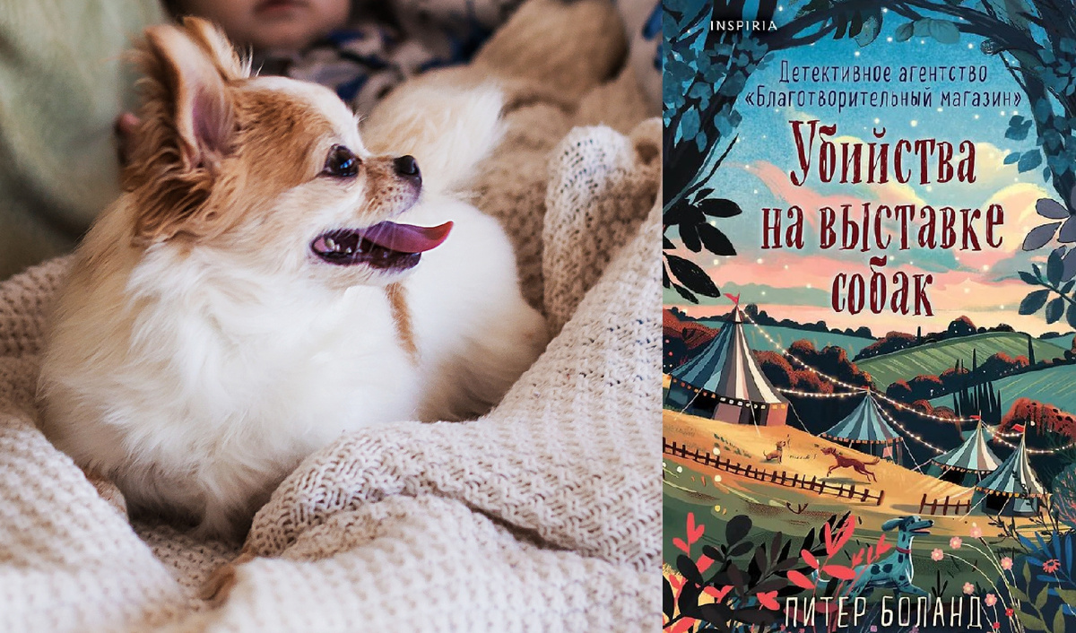 На фото мой любимец