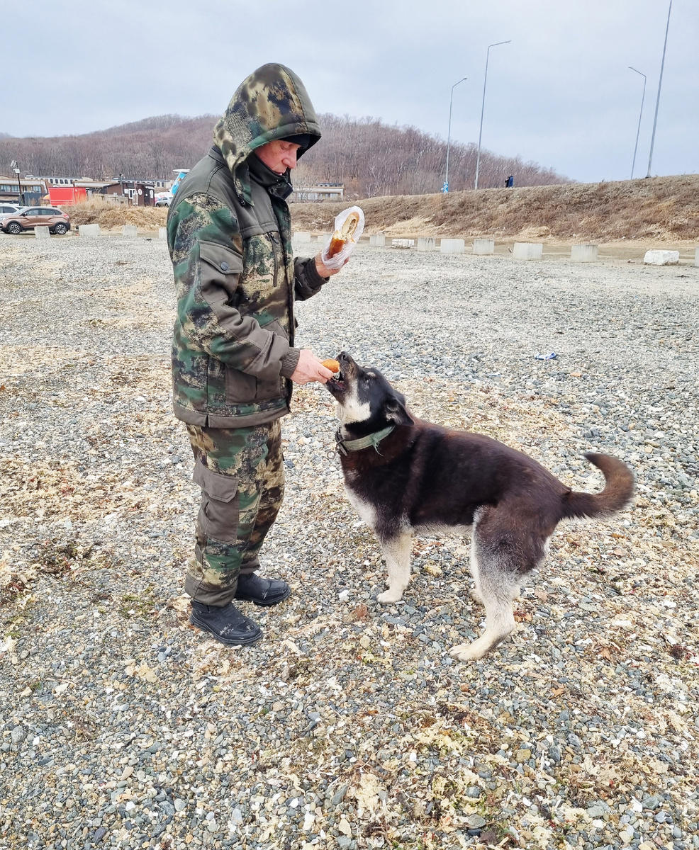 Фото автора