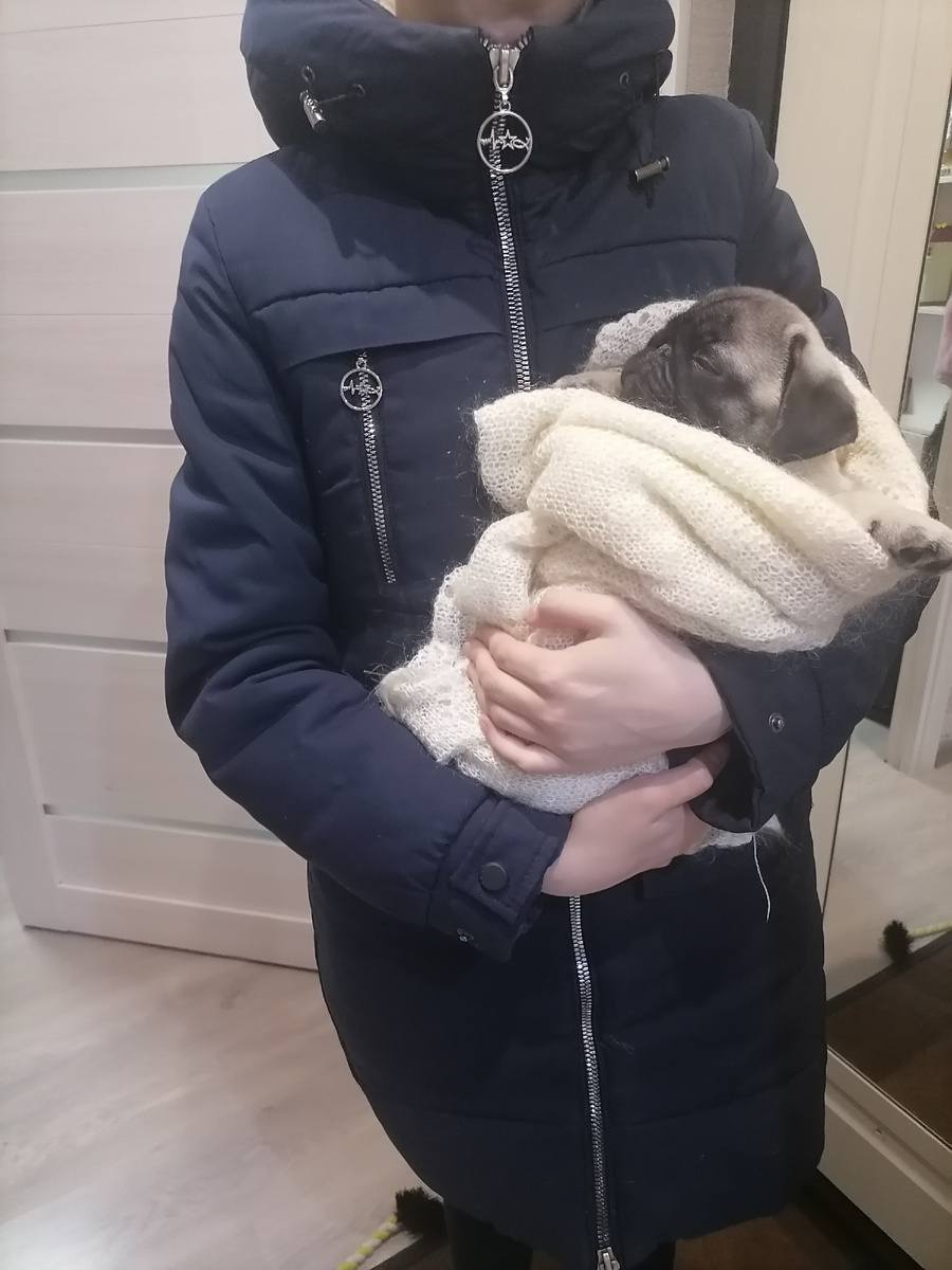 Только приехали