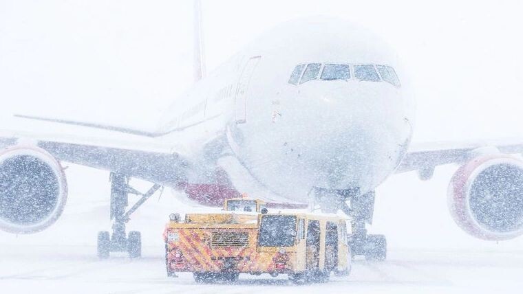    Фото: Makukds/Shutterstock/Fotodom