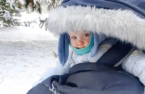 Ариша в своих чудо-санях
