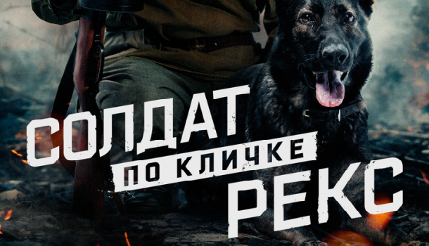 Содержание серий сериала «Солдат по кличке Рекс» (2026). Чем закончится, описание последних серий фильма?