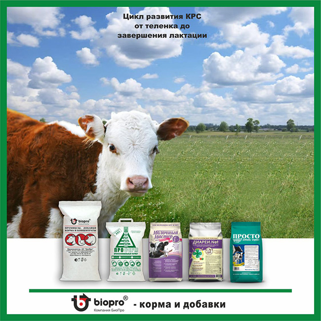 Готовые рецептуры кормов и добавок для телят уже разработаны и проверены на практике. А если у вас свое сырьё — составим индивидуальный рецепт под ваш рацион и задачи хозяйства.