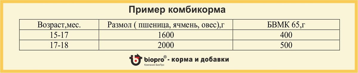 Домашний комбикорм с вводом БВМК