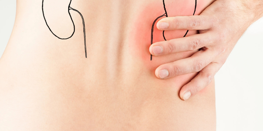 Как восстановить здоровье почек