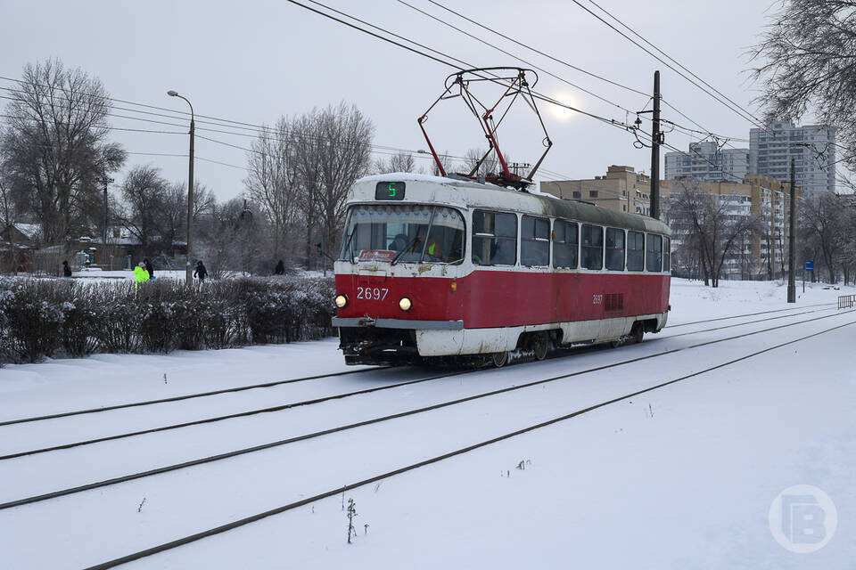    Фото: Дмитрий Рогулин / "Городские вести"