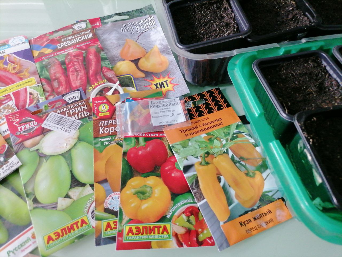 Посадка перцев и баклажанов на рассаду, фото автора