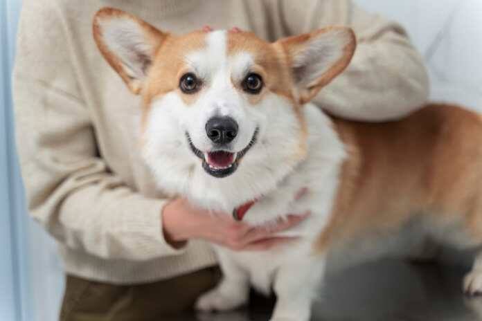   Изображение от freepik