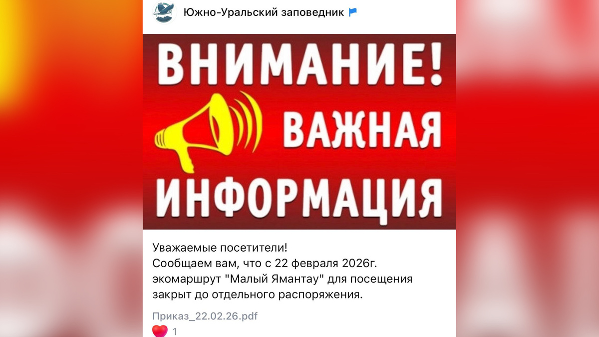    Медведь напал на сноубордиста в горах Башкирии